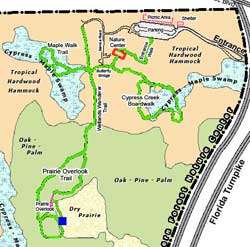 Fern Forest map