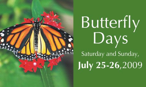 Butterfly Days 2009